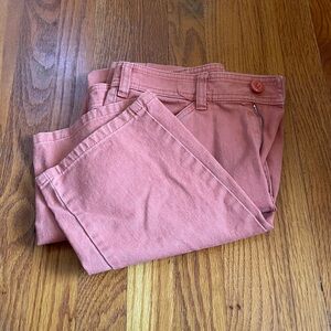 EVERLANE “The Carpenter Pant” in a Pretty Persimmon Color. Women’s Size 4